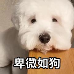 晓梦云资源网